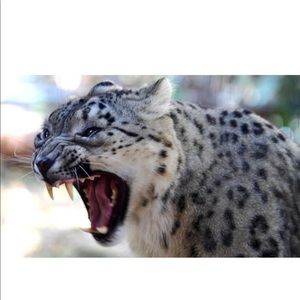 Meet your Posher, Aaron